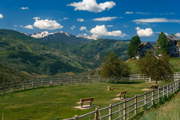 Stephens Park (West Vail Dog Park) photo 1